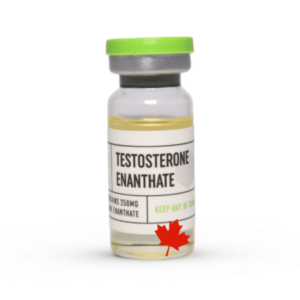 Sustanon 250mg by Zentec Performance